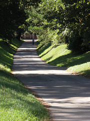 road through the park