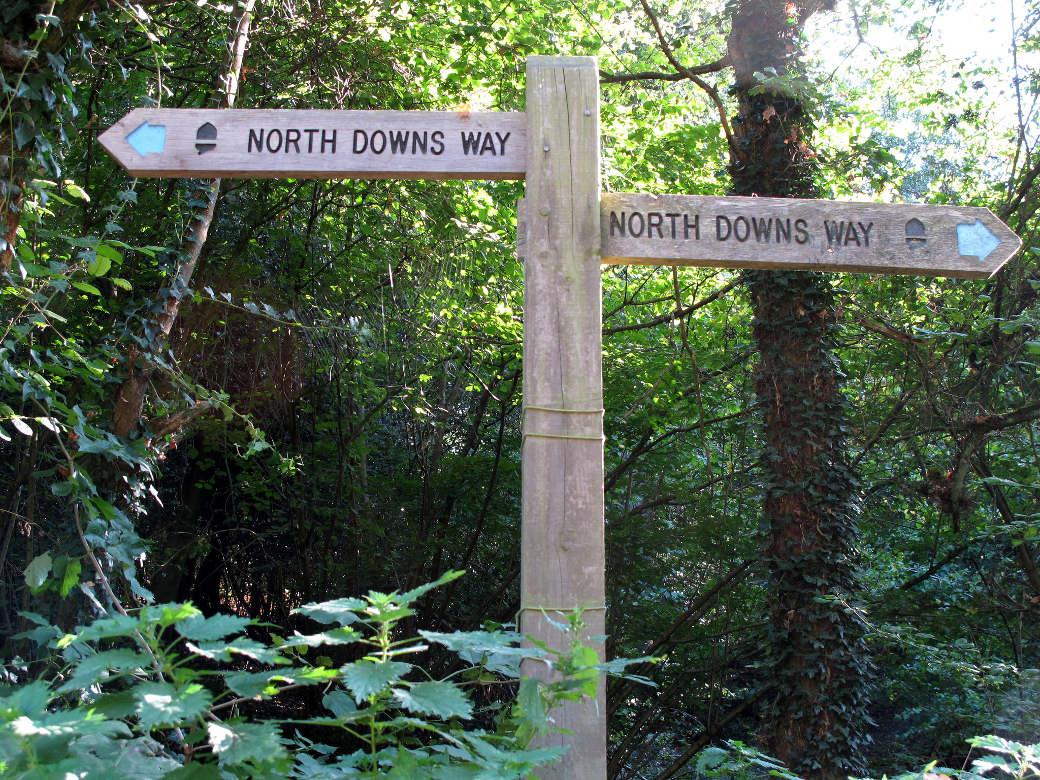 North Downs Way