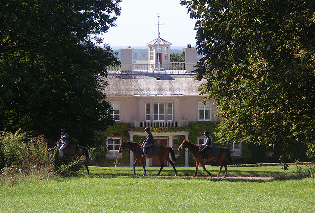 Racehorses