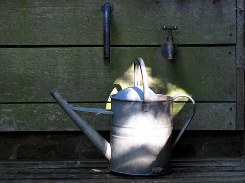 Watering Can