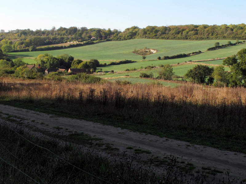 View from the Lane