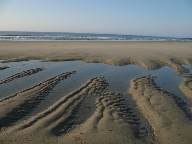 Low tide