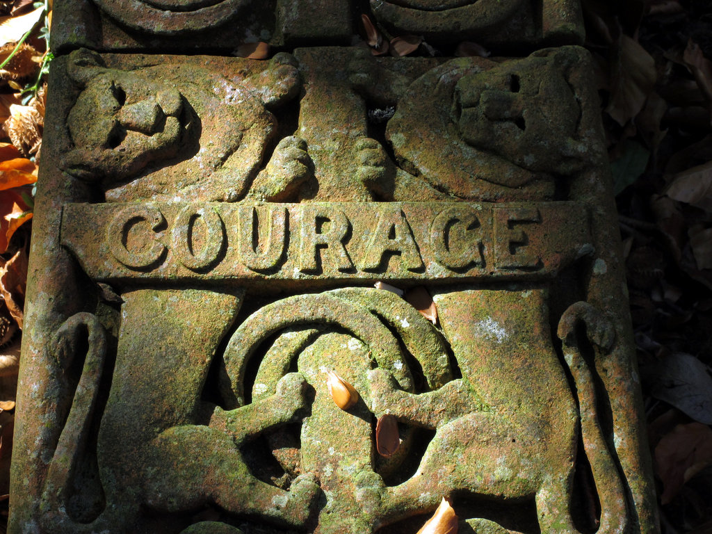 Courage