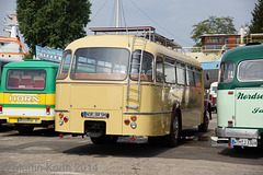 Omnibustreffen Sinsheim/Speyer 2014 364