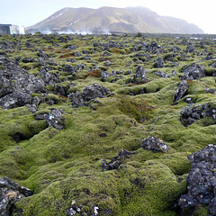 mountain, steam, lava, moss