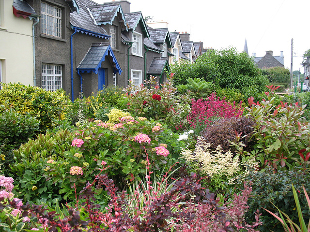 Garden, Kenmare