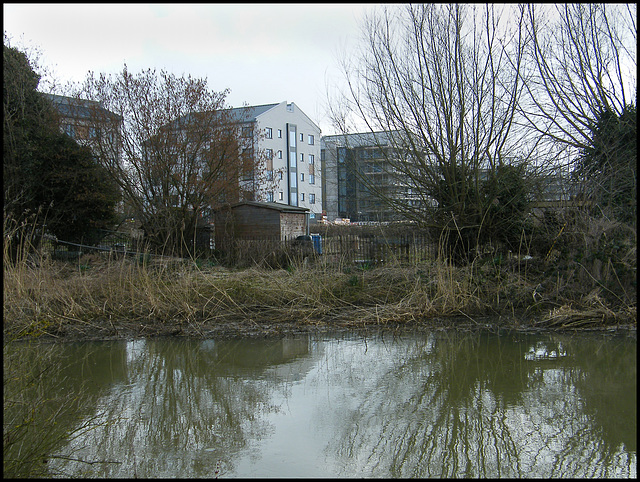 the view from Willow Walk