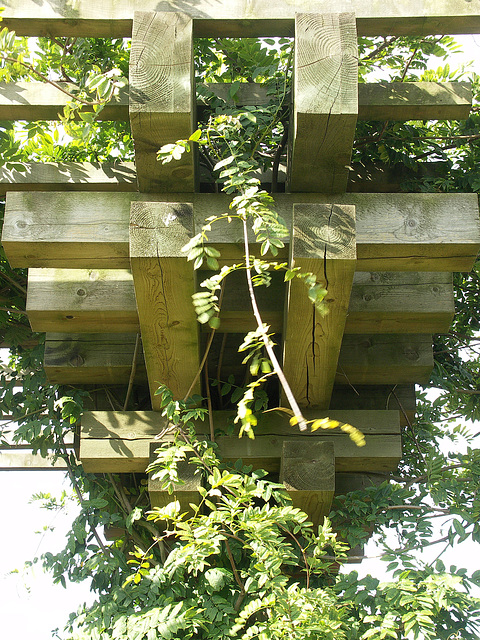 Pergola