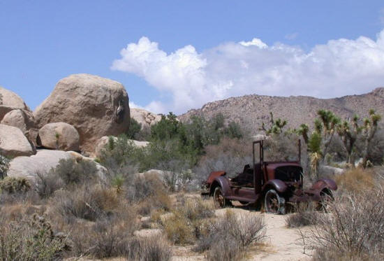 Joshua Tree NP near Barker Dam