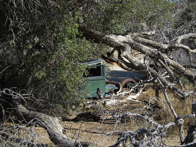 Joshua Tree NP Wall Street Mill 2324-2