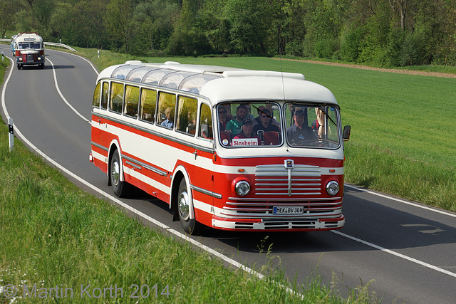 Omnibustreffen Sinsheim/Speyer 2014 478