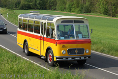 Omnibustreffen Sinsheim/Speyer 2014 519