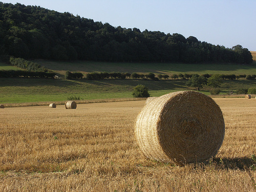 Bales