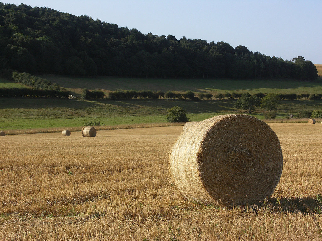 Bales