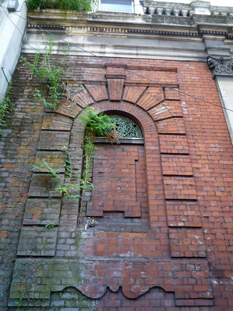 Ferny wall, Smithfield