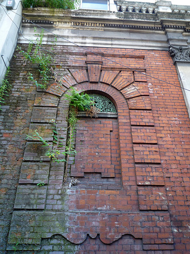 Ferny wall, Smithfield