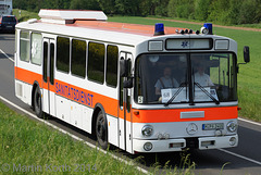 Omnibustreffen Sinsheim/Speyer 2014 525