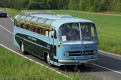 Omnibustreffen Sinsheim/Speyer 2014 551