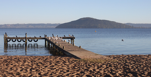 Lake Rotorua