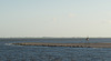 Seehundebank vor Norderney DSC01790