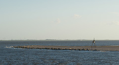 Seehundebank vor Norderney DSC01790