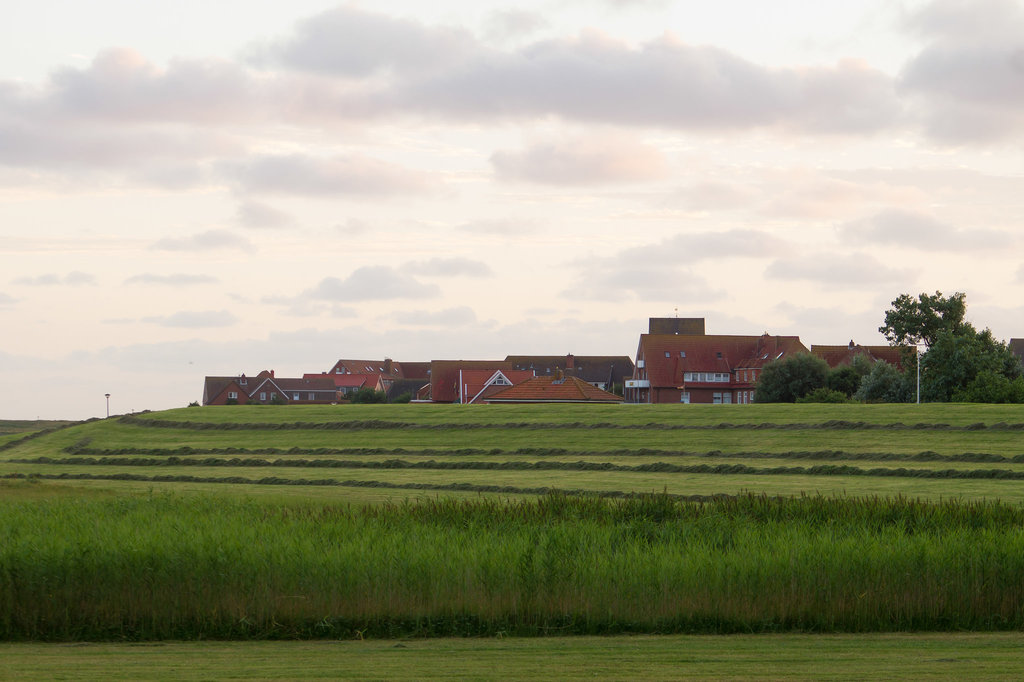 20130806-DSC01952