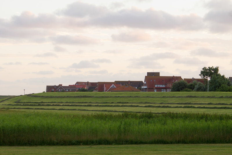 20130806-DSC01952
