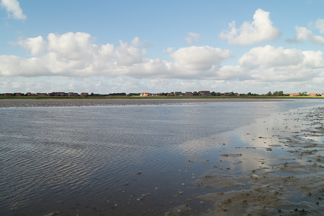 Wattenmeer DSC02064