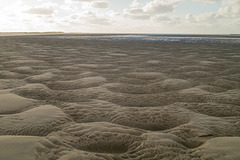 Wattenmeer DSC02119