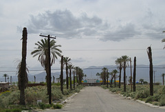 Salton Sea North Shore Yacht Club (1970a)