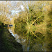 towpath reflection