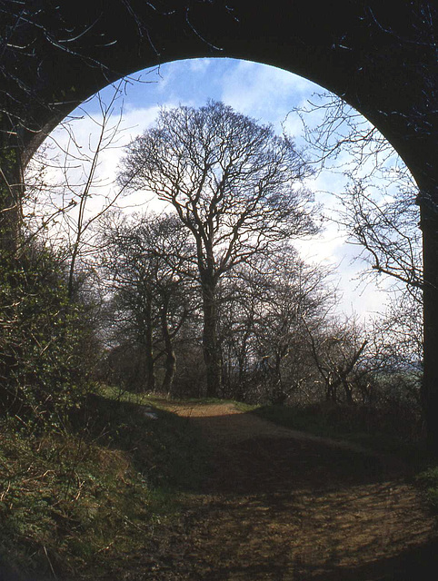 Through an Arch of Reddish Vale Viaduct