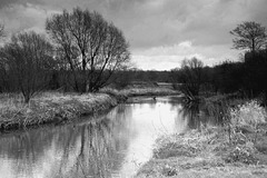 Reddish Vale- River Tame