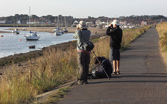 Twitchers