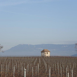 Equilibre vigneron Equilibre vigneron