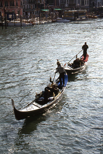 Backlit Gondolas