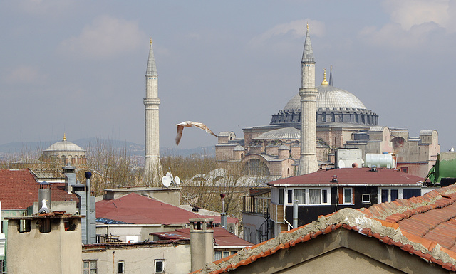 Haghia Sophia over the rooftops