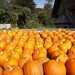 Pumpkins on the roof
