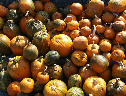 Pumpkins