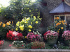 The Pumpkin House