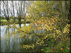 autumn riverside