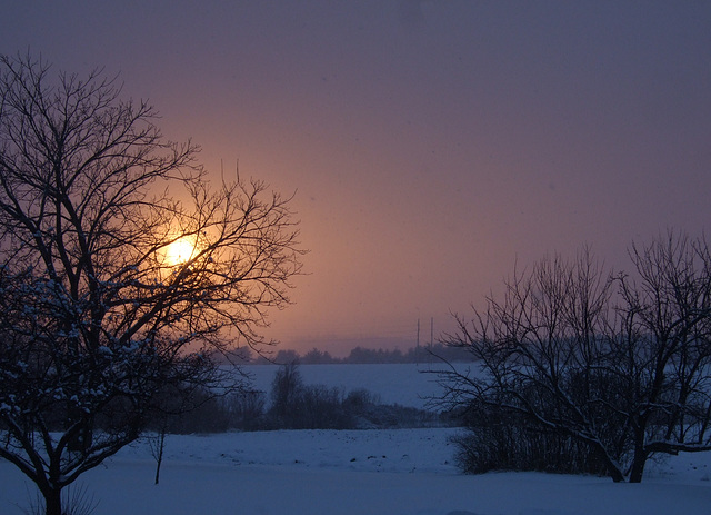 Winter Evening At the Library #2