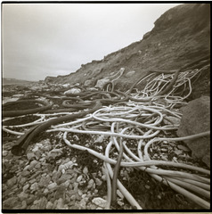 Shetland - pinhole