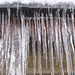 gbww - ice curtain