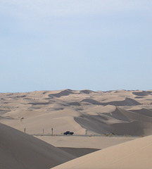 Algodones Dunes (1074)