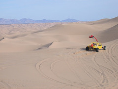Algodones Dunes (1068)