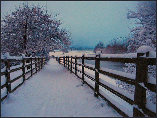 snow in Aristotle Lane