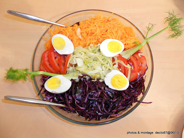 les salades de carottes,choux rouge ,tomates, fenouil...