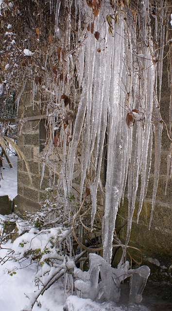 gbww - icicle by the front door 1