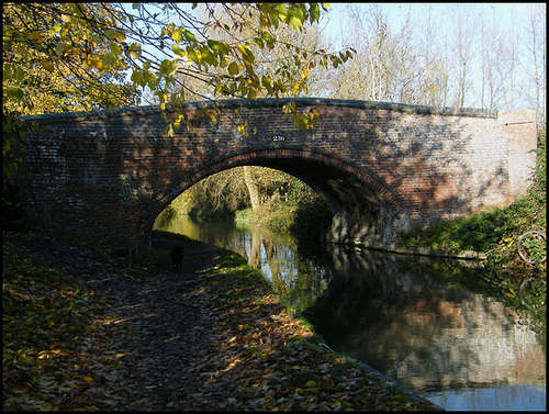 Balls Bridge 236